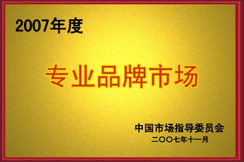 專業(yè)品牌市場（2007）