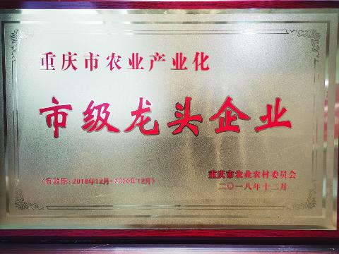 市級龍頭企業(yè)（2018）