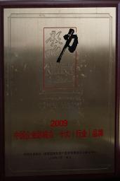 中國行業品牌（2009）