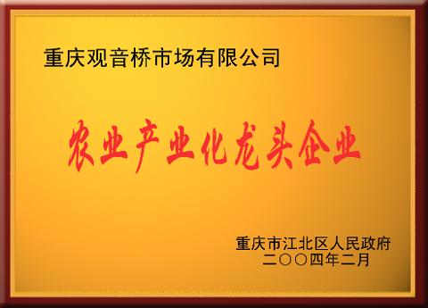 龍頭企業（2004）