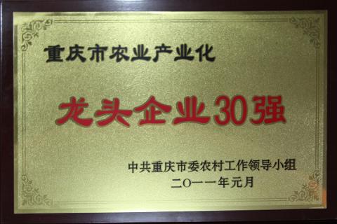 2011龍頭企業(yè)30強