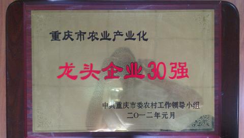 龍頭企業30強（2011）