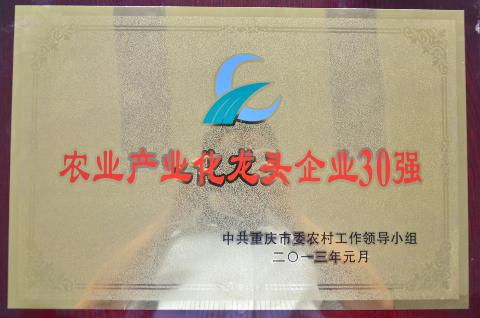 農業產業化龍頭企業30強（2012）